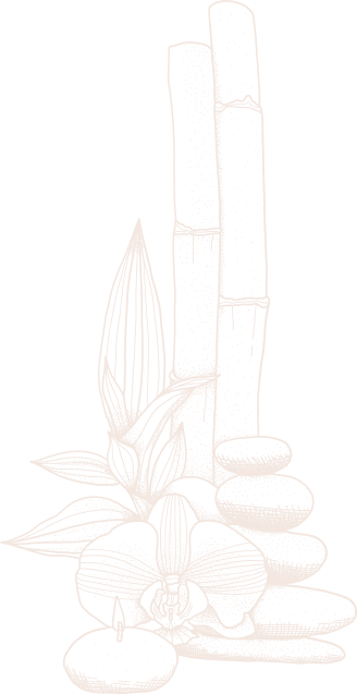 The Z Nails & Spa